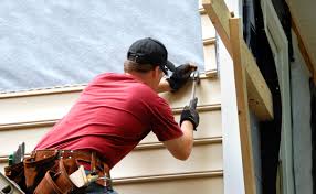 Best Fascia and Soffit Installation  in Lakeview, MI